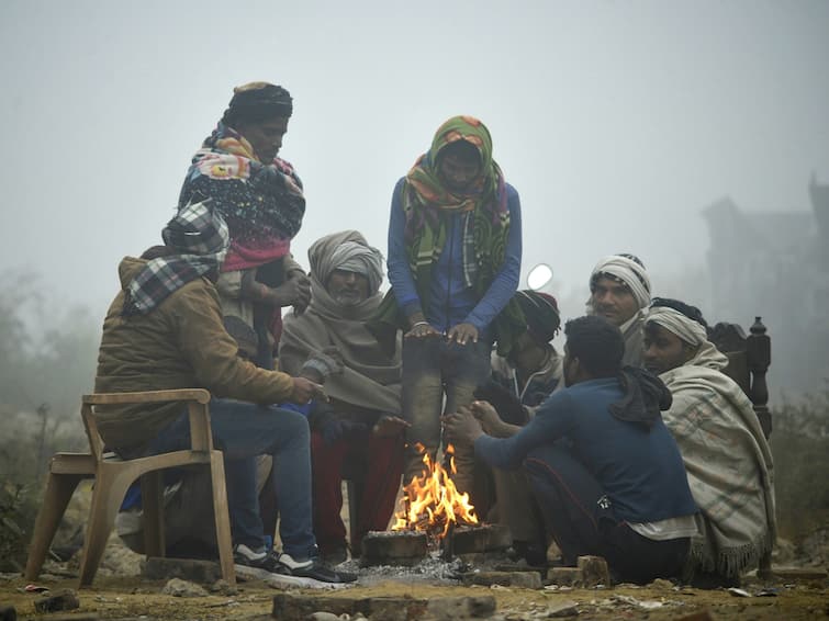 Cold Wave: Cold wave to hit Gujarat over next five days Cold Wave: ગુજરાતમાં આગામી પાંચ દિવસ કડકડતી ઠંડી પડશે, હવામાન વિભાગે કરી આગાહી