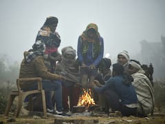 Delhi-NCR: Cold weather conditions prevail in Delhi-NCR; mercury