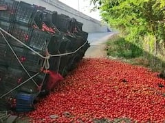 Photo : टोमॅटो घेऊन जाणारा ट्रक पलटी, रस्त्यावर 'लाल' चिखल