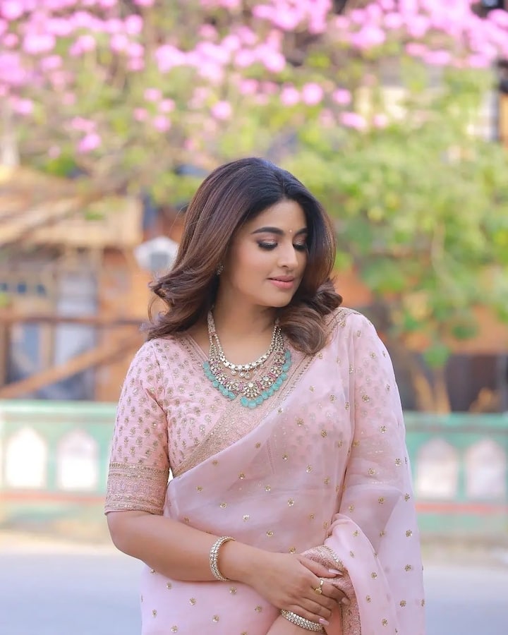 పాలమీగడలాంటి అందంతో మెరిసిపోతుంది స్నేహా. Image Credit: Sneha/ Instagram