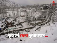 দু'দিনে দু'বার তুষারধস সোনমার্গে, বরফের মোটা চাদর এলাকাজুড়ে