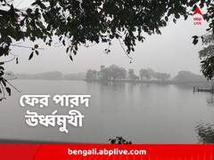 ১৩ বছরে উষ্ণতম ১৫ জানুয়ারি, প্রবল কুয়াশার দাপট