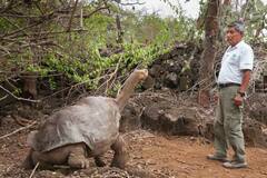 Diego Tortoise : 800 मुलांचा 'बाप' वय 100 वर्ष, डिएगो कासवाचा विक्रम; प्रजाती वाचवण्यात मोठं योगदान