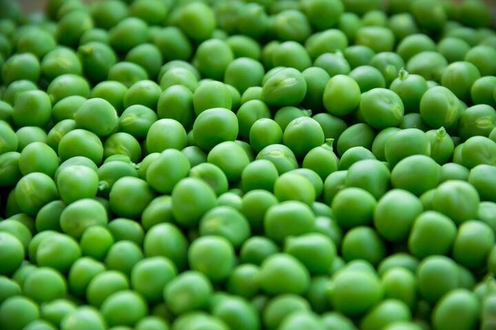 Green Peas Benefits : हिरव्या वाटाण्याचे सेवन केल्याने तुम्हाला बरेच फायदे मिळू शकतात.