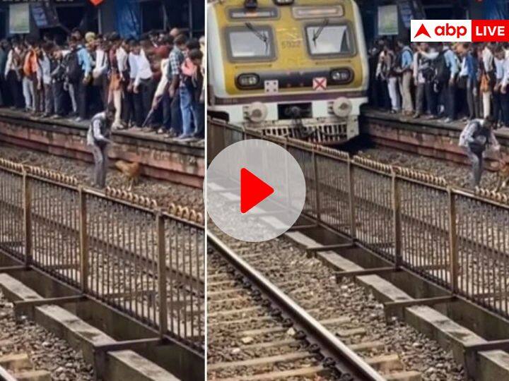 Watch man saved life of a dog on a railway track mumbai video went viral Watch: जब युवक ने बचाई रेलवे ट्रैक पर फंसे कुत्ते की जान, लोगों के दिल को छू रहा ये वायरल वीडियो