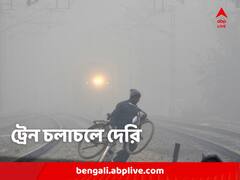 কুয়াশায় ঢাকা চারদিক, দেরিতে বহু ট্রেন, সমস্যা বিমান চলাচলেও