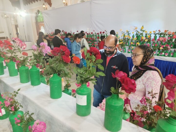 Rose Exhibition: इंदौर में लगी गुलाबों की प्रदर्शनी, 270 किस्म के 3 हजार फूलों का प्रदर्शन. गुलाब की इस प्रजाति के सभी हुए दीवाने