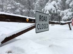 Photos: सिर्फ भारत ही नहीं इन देशों में भी पड़ रही है हाड़ जमा देने वाली ठंड, देखें तस्वीरें