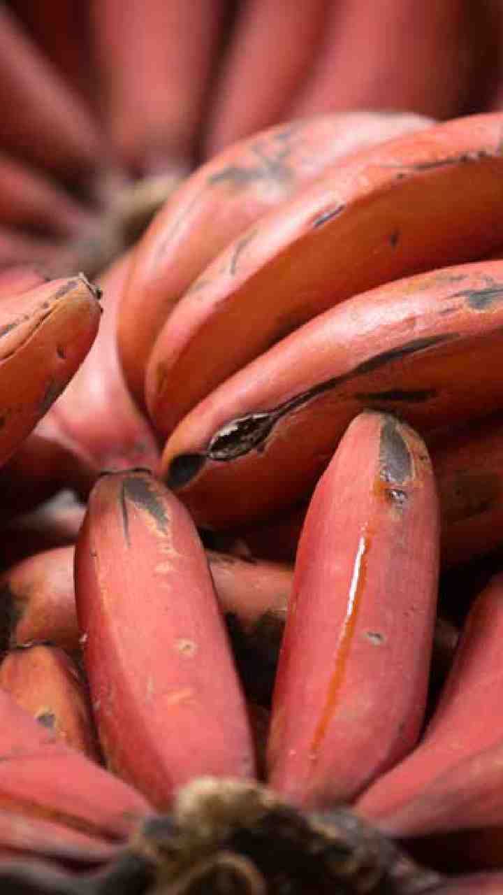 வாய்ப்புண் குணமாக உதவும்