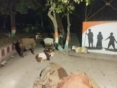 कानपुर देहात: बकरी, भैंस और चूल्हे के साथ पीड़ित परिवार ने डीएम ऑफिस में डाला डेरा, जानिए मामला