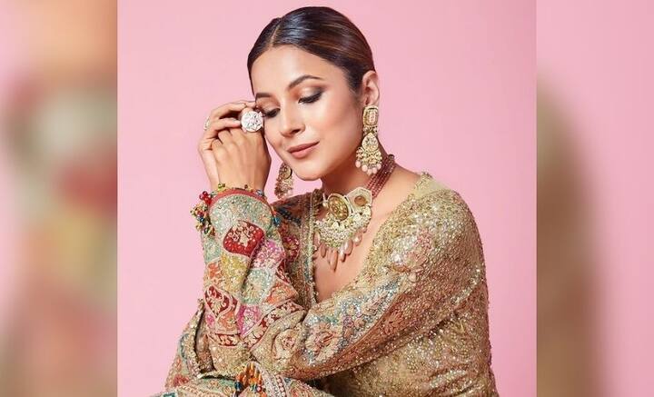 চঞ্চল স্বভাবের শেহনাজ গিল জনপ্রিয়কা পান রিয়্যালিটি শো ‘বিগ বস’-এ। সেখানে অভিনেতা সিদ্ধার্থ শুক্লার সঙ্গে তাঁর খুনসুটি মনে ধরে আমজনতার। বাস্তব জীবনেও তাঁরা পরস্পরের কাছাকাছি চলে আসেন।