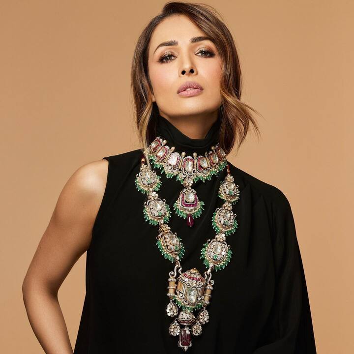 మలైకా అరోరా ( Image Credit/ Malaika Arora Instagram)