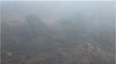 PHOTO : नंदुरबारमध्ये कडाक्याची थंडी, सातपुड्याचा पर्वतरांगांमध्ये दवबिंदू गोठले!