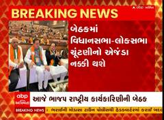 દિલ્હીમાં પીએમ મોદીના રોડ શો બાદ ભાજપની રાષ્ટ્રીય કાર્યકારિણીની બેઠક, ગુજરાતના નેતાઓ પણ હાજર