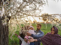In Pics: यूपी में इस जिले में खेतों और पेड़ों की टहनियों पर जम गई बर्फ, गांव वाले भी देखकर हैरान, देखिए तस्वीरें