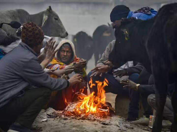 Cold will reduce in the state રાજ્યમાં ઠંડીમાં ઘટાડો થવાની શક્યતા, જાણો હવામાન વિભાગે શું કરી આગાહી ?