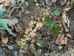 In Pics: नक्सलगढ़ में हेलीकॉप्टर से ताबड़तोड़ फायरिंग, जवानों ने कई घंटों तक बरसाई गोलियां, देखें तस्वीरें