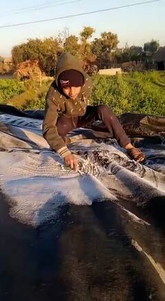 Gujarat Weather: કાતિલ ઠંડીથી ગુજરાતમાં અહીં ખેતરોમાં જામ્યો બરફ, જુઓ તસવીરો