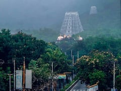 నేడు నిర్వహించే ఆ సేవను టీటీడీ ఎందుకు రద్దు చేసింది‌? నిన్నటి హుండీ ఆదాయం ఎంతంటే