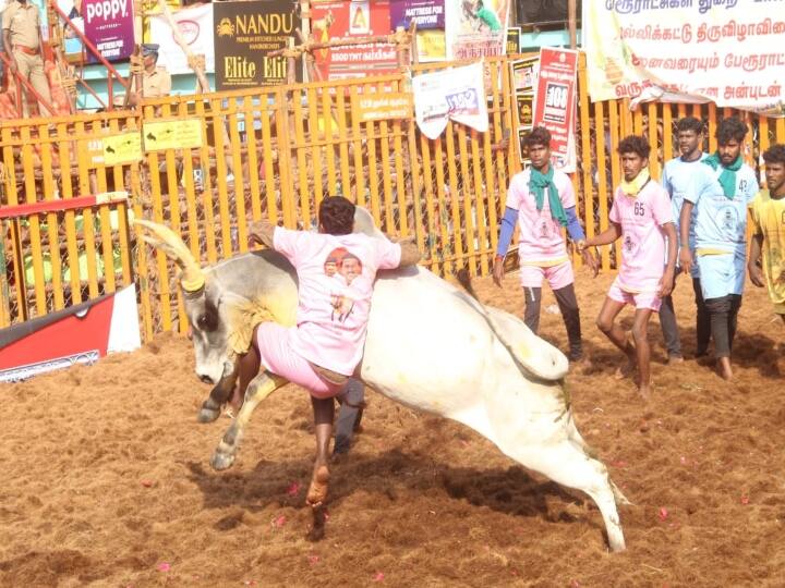 தொட்டப்பநாயக்கணூர் ஜல்லிக்கட்டு போட்டிக்கான ஆன்லைன் முன்பதிவு துவக்கம்