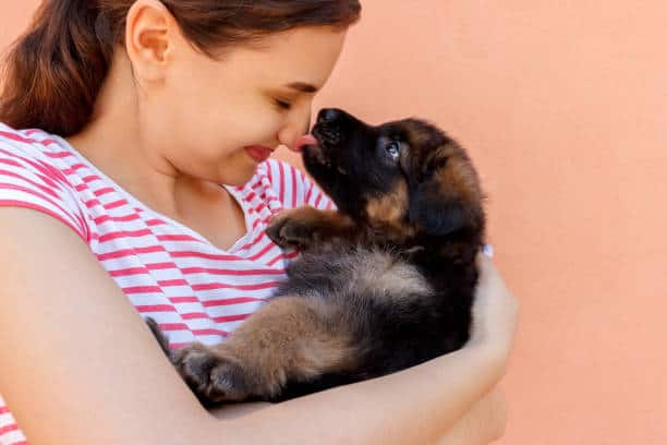 Kising Pet Dog is Good or Bad : पाळीव प्राण्यांना जवळ घेणं, त्यांना किस करणं कितपत सुरक्षित आहे, जाणून घ्या...