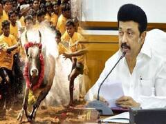 CM Stalin : ஜல்லிக்கட்டில் உயிரிழந்தவர்களின் குடும்பத்திற்கு நிதி உதவி...முதலமைச்சர் ஸ்டாலின் அறிவிப்பு..!