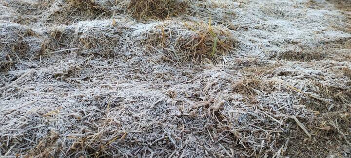 तसंच अक्कलकुवा तालुक्यातील दाब आणि वालंबा गावात अचानक तापमान घटल्यामुळे दव बिंदू गोठल्याची नोंद झाली आहे.