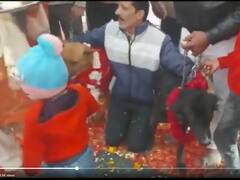 Watch: மேளதாளத்துடன் கல்யாணம்; ஆடல் பாடலுடன் ரிஷப்ஷன்: நாய்களுக்கு வாய்த்த வாய்ப்பு!