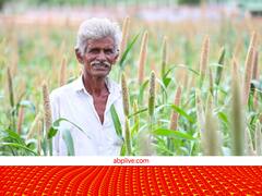 सामान्य खेती से अच्छा ऑप्शन है ICAR की ये बायो-फोर्टिफाइड किस्में, जो बढ़ा रही है किसानों की इनकम