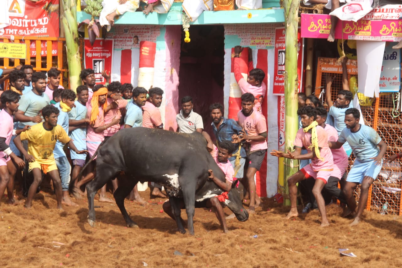 Jallikattu: இதுலயுமா...? பாலமேடு ஜல்லிக்கட்டில் ஆள்மாறாட்டம்...! 11 பேர் தகுதிநீக்கம்...!