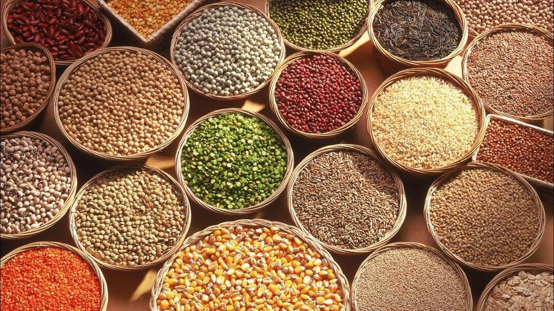Thanjavur: Farmers urged to focus on nutritious small grains TNN ஊட்டச்சத்துக்கள் மிகுந்த சிறு தானியங்களுக்கு முக்கியத்துவம் அளிக்க விவசாயிகளுக்கு அழைப்பு
