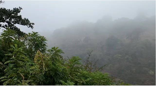 पुढील तीन ते चार दिवस थंडीची तीव्रता असेल आणि हवामान कोरडं राहिल असा अंदाज भारतीय हवामान विभागाने वर्तवला आहे.