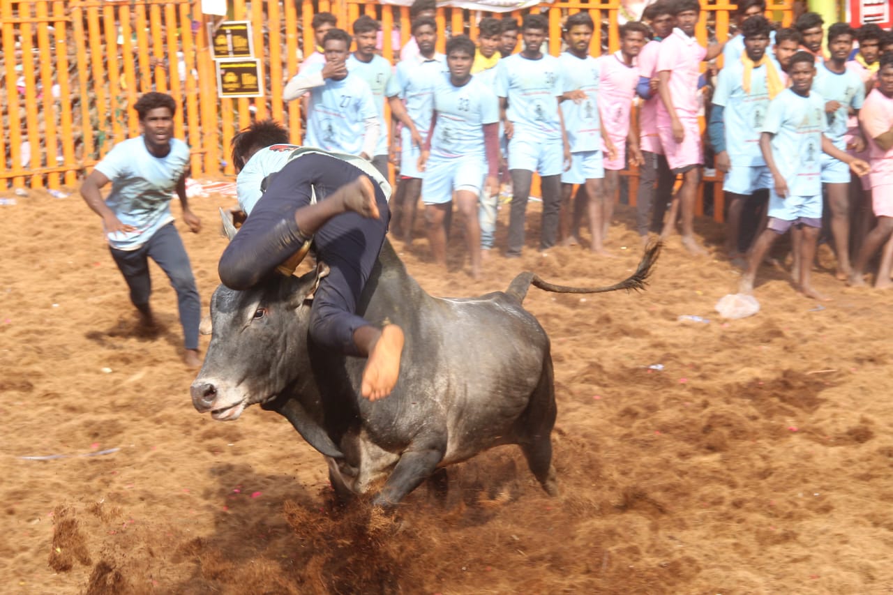 Jallikattu: இதுலயுமா...? பாலமேடு ஜல்லிக்கட்டில் ஆள்மாறாட்டம்...! 11 பேர் தகுதிநீக்கம்...!