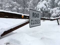 ਭਾਰਤ ਹੀ ਨਹੀਂ ਇਨ੍ਹਾਂ ਦੇਸ਼ਾਂ ਵਿੱਚ ਹੱਡ ਠਾਰ ਰਹੀ ਹੈ ਠੰਢ