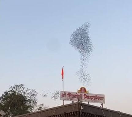 श्री सिद्धरामेश्वर मंदिरावर पक्ष्यांच्या थव्याद्वारे नागाची आकृती