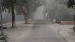 Chandigarh Weather Update: घने कोहरे की चपेट में आया चंडीगढ़, तस्वीरें के जरिए जानिए शहर में आज के मौसम का हाल