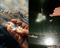 Gujarat Weather: કાતિલ ઠંડીથી ગુજરાતમાં અહીં ખેતરોમાં જામ્યો બરફ, જુઓ તસવીરો