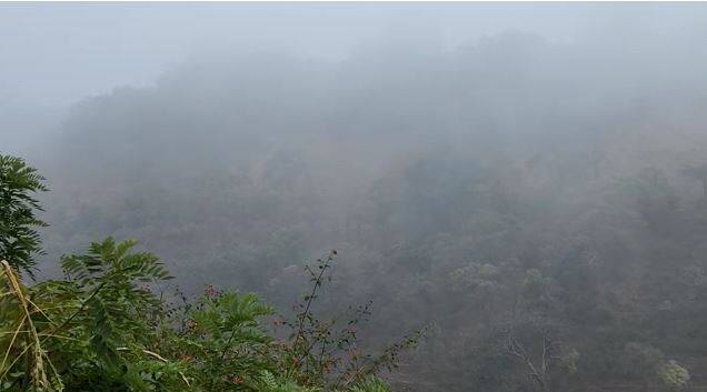 सातपुड्याच्या दुर्गम भागात पांढरी चादर पसरल्याचं चित्र पाहण्यास मिळत आहे.