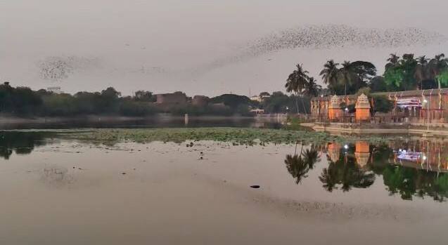दरम्यान, सिद्धेश्वर महाराजांना शिवयोगी असे म्हटले जाते. त्यांनी सोलापूरच्या चहूबाजूने 68 लिंगाची स्थापना केली.