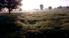 Gujarat Weather: કાતિલ ઠંડીથી ગુજરાતમાં અહીં ખેતરોમાં જામ્યો બરફ, જુઓ તસવીરો