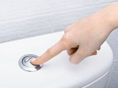 टॉयलेट फ्लश में दो बटन लगा होता है... दूसरे का क्या काम होता है