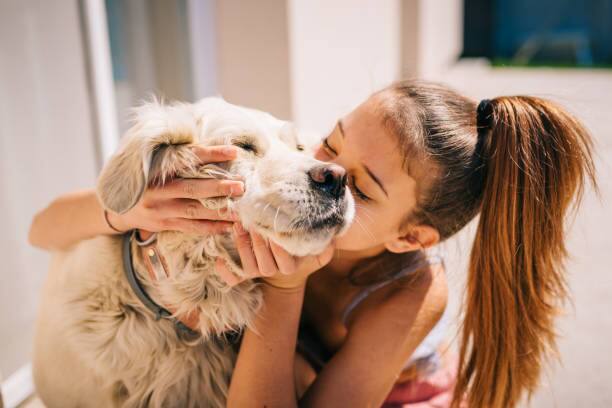 Pet Dog kiss is it safe to kiss pet dog know about new research Pet Dogs : पाळीव प्राण्यांना जवळ घेणं, त्यांना किस करणं कितपत सुरक्षित? संशोधनात 'ही' माहिती उघड