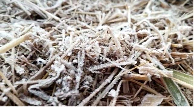 सर्वत्र किमान तापमानात मोठी घसरण झाली आहे.