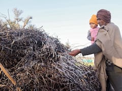 In Pics: यूपी में इस जिले में खेतों और पेड़ों की टहनियों पर जम गई बर्फ, गांव वाले भी देखकर हैरान, देखिए तस्वीरें