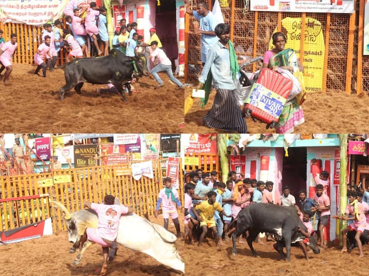 Jallikattu 2023 Photos: மதுரை அவனியாபுரத்தில் ஜல்லிக்கட்டு போட்டி விறுவிறுப்பாக நடைப்பெற்றது. அங்கு எடுக்கப்பட்ட போட்டோக்கள் வைரலாகி வருகின்றன. அவற்றில் சில புகைப்படங்களை இங்கே பார்க்கலாம் வாங்க