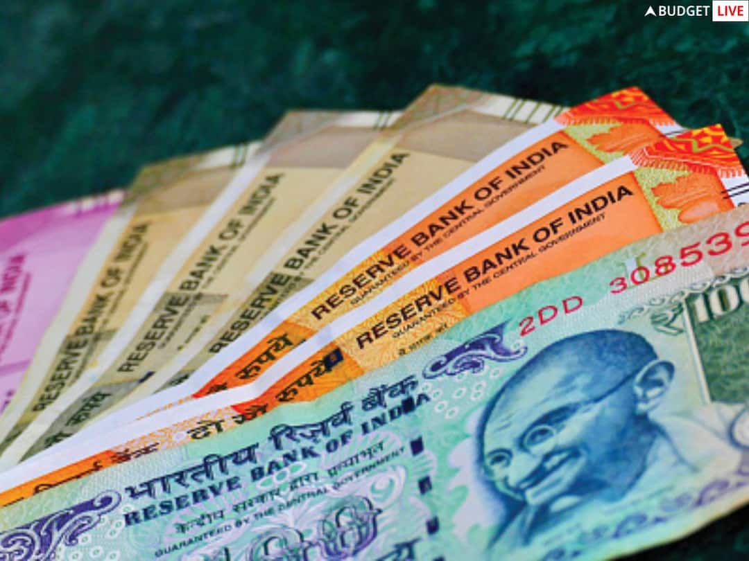 Budget 2023: Disinvestment Target Would Be Optimistic Or Realistic Budget 2023: Disinvestment Target Would Be Optimistic Or Realistic