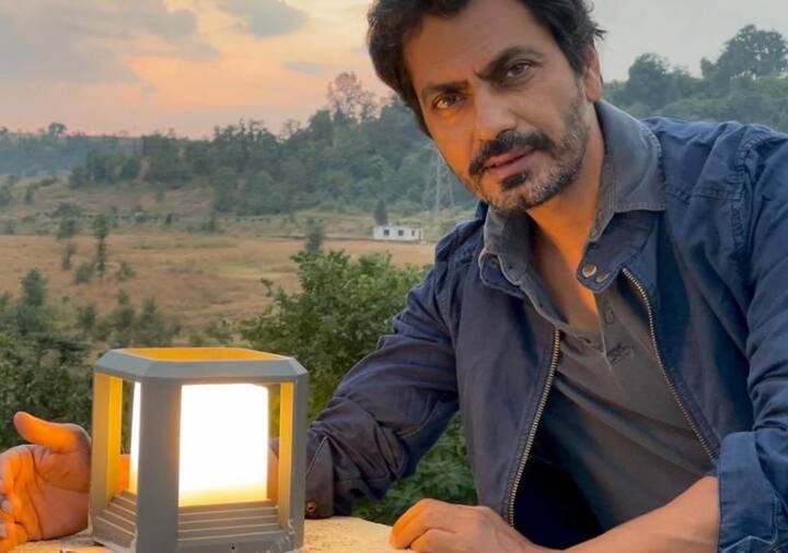 बात करें काम की तो नवाजुद्दीन सिद्दीकी बजरंगी भाईजान, बदलापुर, किक, मांझी, रईस जैसी फिल्मों में नजर आ चुके हैं. आने वाले समय में वे अवनीत कौर के साथ 'टिकू वेड्स शेरू' में नजर आएंगे.