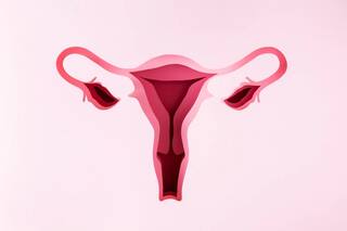 Health News : गर्भाशयाच्या कर्करोगाची तपासणी आणि उपचारासाठी थर्मोग्लाइड लाँच