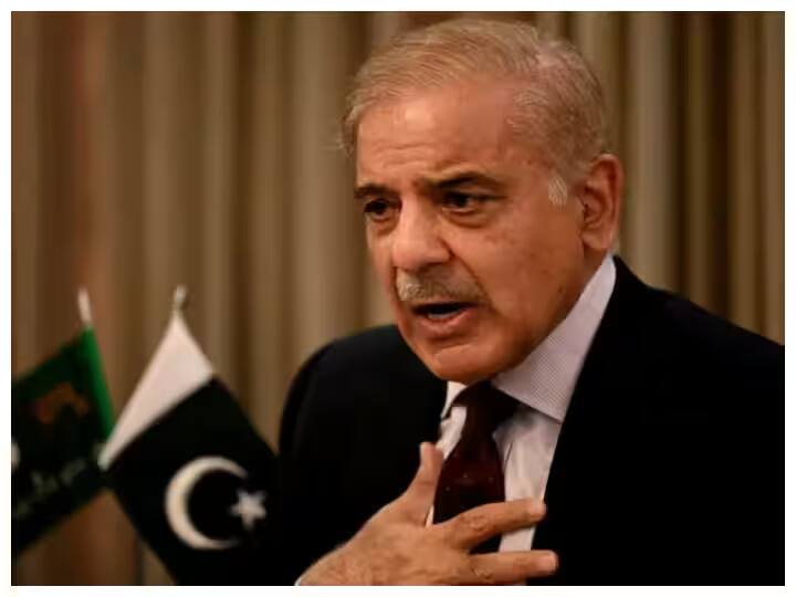 Pakistan PM Shahbaz sharif Should forget kashmir make friendship with narendra modi Kashmir Issue: पाकिस्तानी पत्रकार ने PM शहबाज को फटकारा, कहा- कश्मीर भूलकर भारत से दोस्ती करो..हालात सुधरेंगे