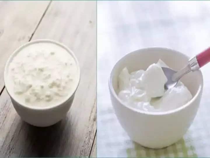 Do you also get confused between curd and yogurt know here the difference between the two Curd And Yogurt: क्या आप भी कर्ड और योगर्ट में हो जाते हैं कंफ्यूज, यहां जानिए दोनों में क्या अंतर है?